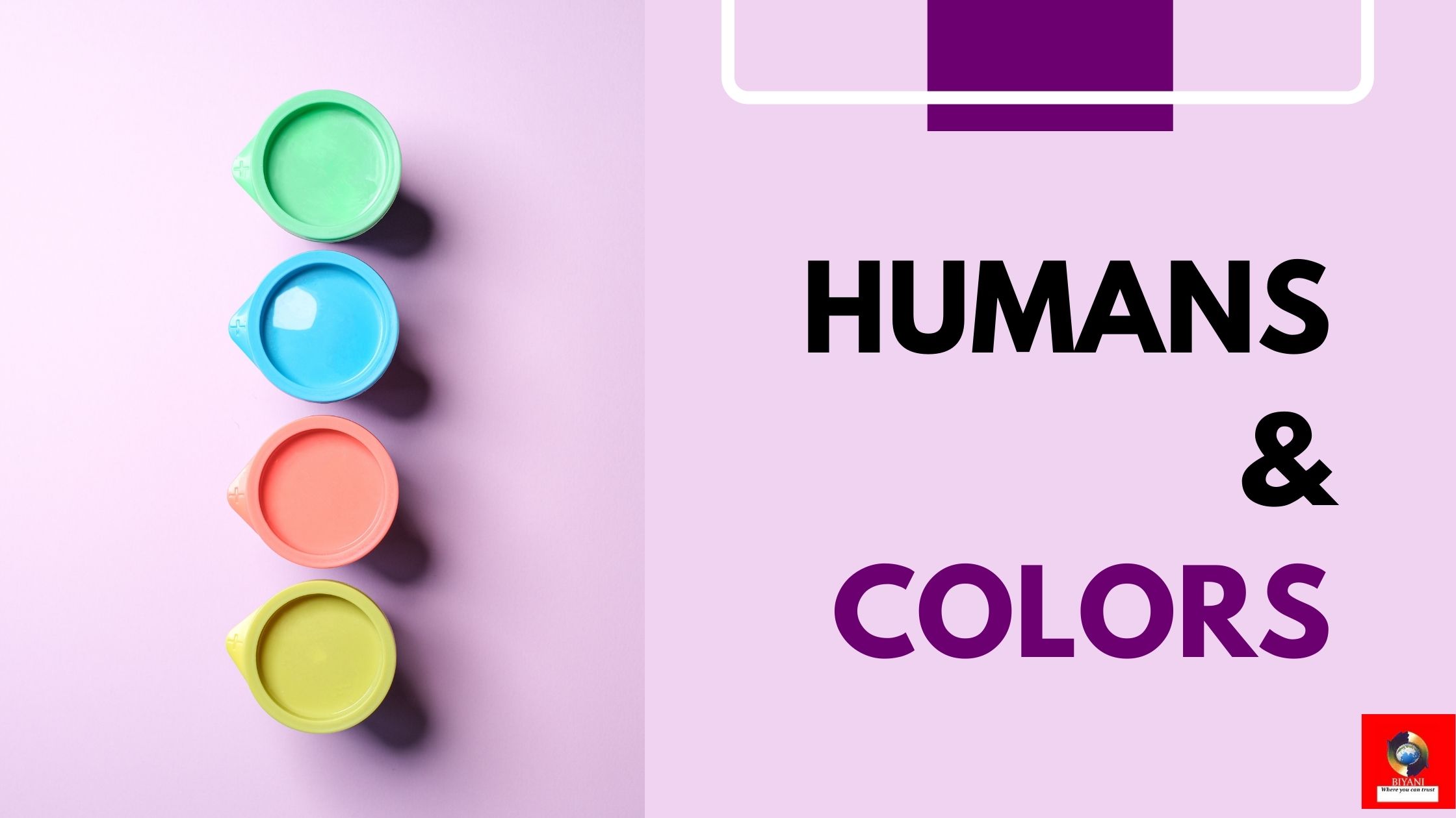 role of colors in human life