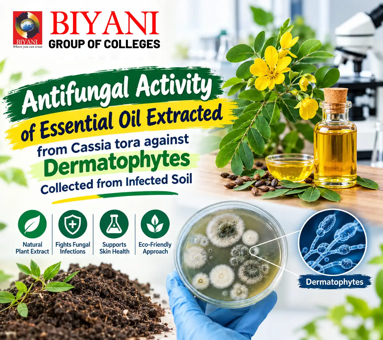 Antifungal activity of Essential oil Extracted from Cassia tora against Dermatophytes Collected from Infected Soil