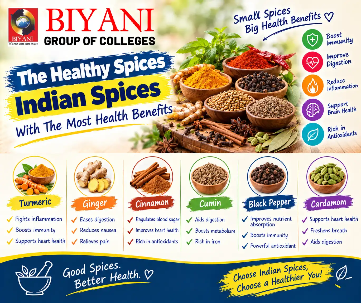 The Healthy Spices Indian Spices With The Most Health Benefits