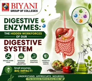 Digestive Enzymes The Hidden Workforces of Our Digestive System