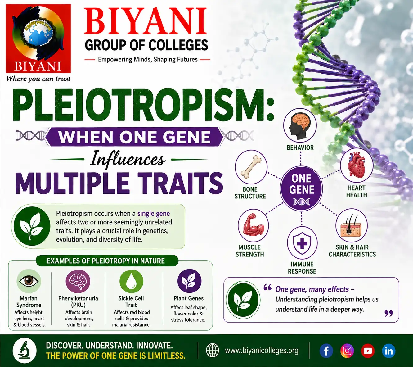 Pleiotropism When One Gene Influences Multiple Traits