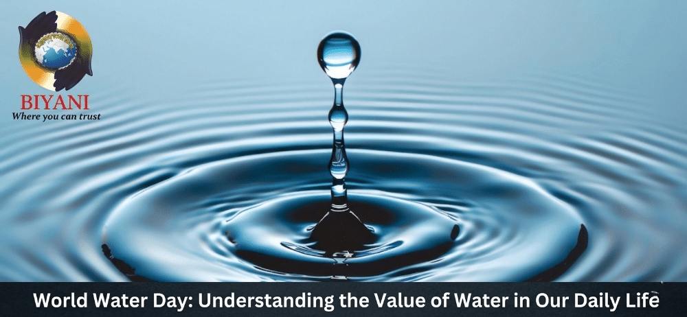 World Water Day Understanding the Value of Water in Our Daily Life