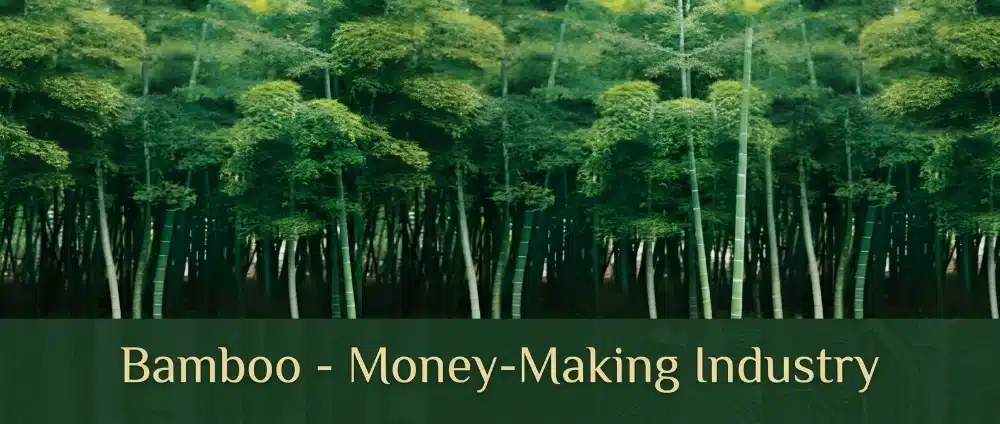 Bamboo money making industry