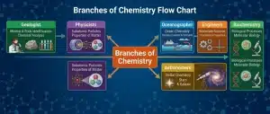 branch of chemistry