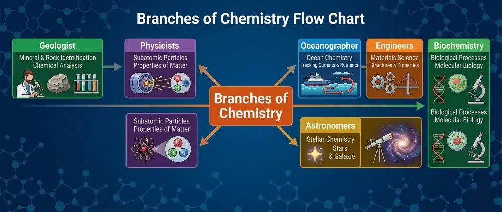 branch of chemistry