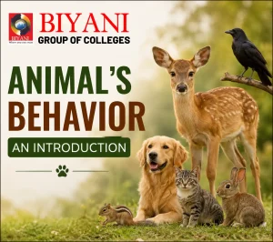 Animal’s Behavior An Introduction