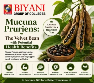 Mucuna Pruriens The Velvet Bean with Potential Health Benefits